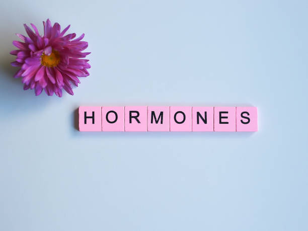 The Healing Tide: What are the Benefits of Hormone Replacement Therapy