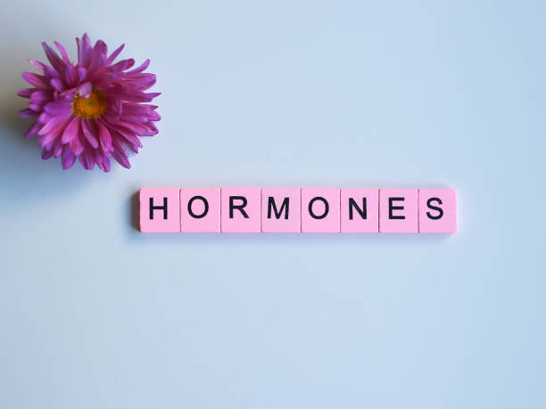 Finding Balance With a Hormone Specialist on Maui